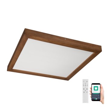 Brilagi - Стельовий LED світильник для ванної з регулюванням яскравості WOODY FRAME LED/50W/230V дуб вишня 60x60 см 3000-6000K IP44 + пульт дистанційного керування