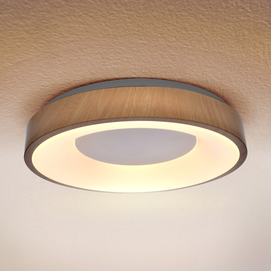 Brilagi - Стельовий LED світильник DORIA LED/24W/230V
