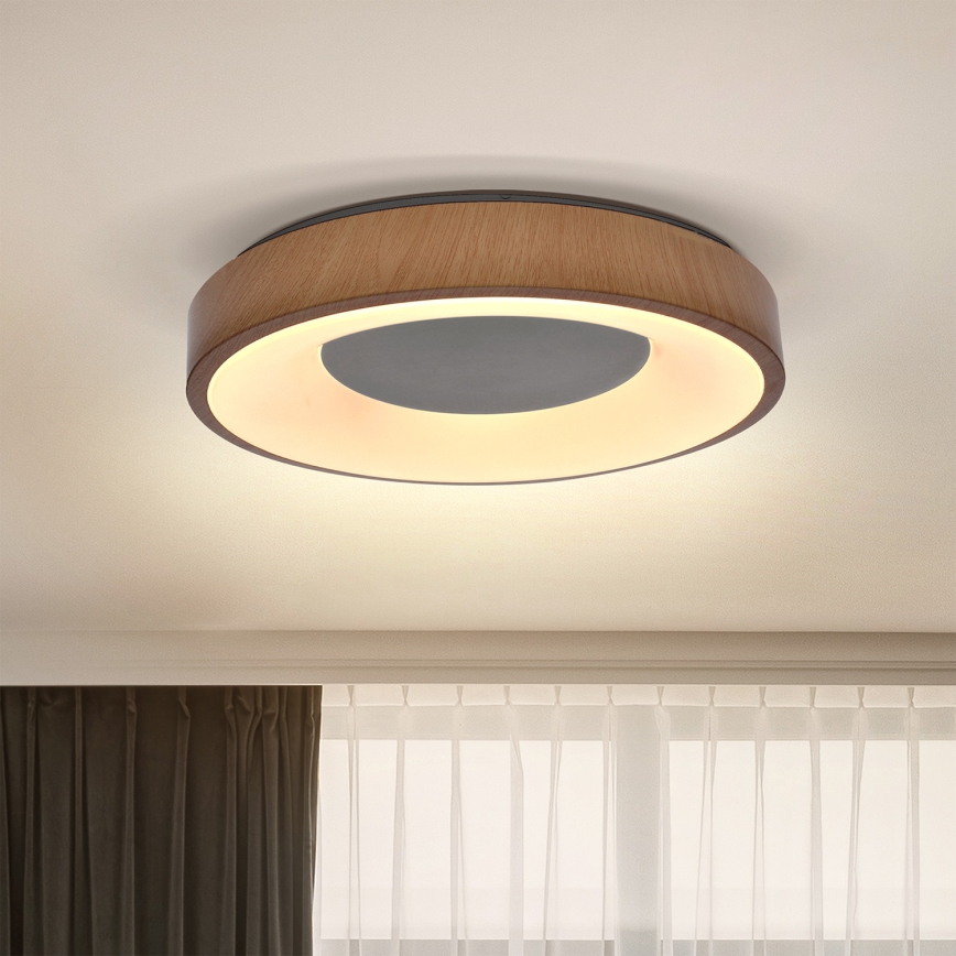 Brilagi - Стельовий LED світильник DORIA LED/24W/230V