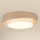 Brilagi - Стельовий LED світильник DOVER SHINE LED/26W/230V діаметр 60 см сірий/кремовий