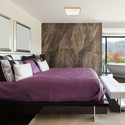 Brilagi - Світлодіодний стельовий світильник з регулюванням яскравості MANAROLA CUBIC LED/24W/230V 3000-6500K сосна + пульт дистанційного керування