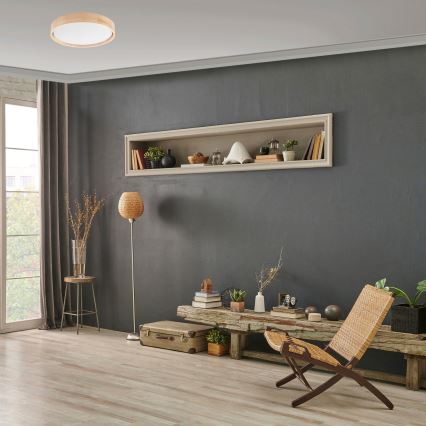 Brilagi - Стельовий LED світильник MANAROLA SIMPLE LED/24W/230V 3000K сосна ⌀ 41 см