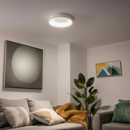 Brilagi - Стельовий LED світильник з регулюванням яскравості FALCON LED/40W/230V 3000-6500K + ДК