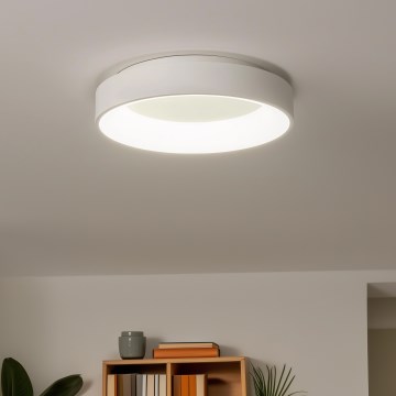 Brilagi - Стельовий LED світильник з регулюванням яскравості FALCON LED/80W/230V 3000-6500K + ДК