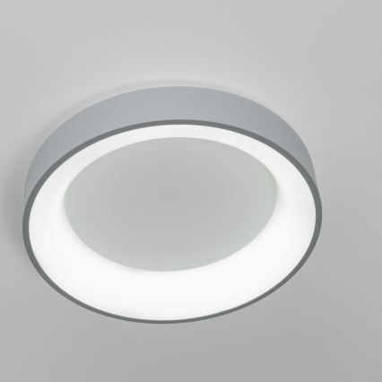 Brilagi - Стельовий LED світильник з регулюванням яскравості FALCON LED/40W/230V 3000-6500K сірий + дистанційне керування