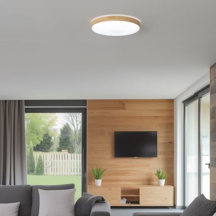 Brilagi - Стельовий LED світильник з регулюванням яскравості PINE LED/24W/230V 3000-6500K + дистанційне керування