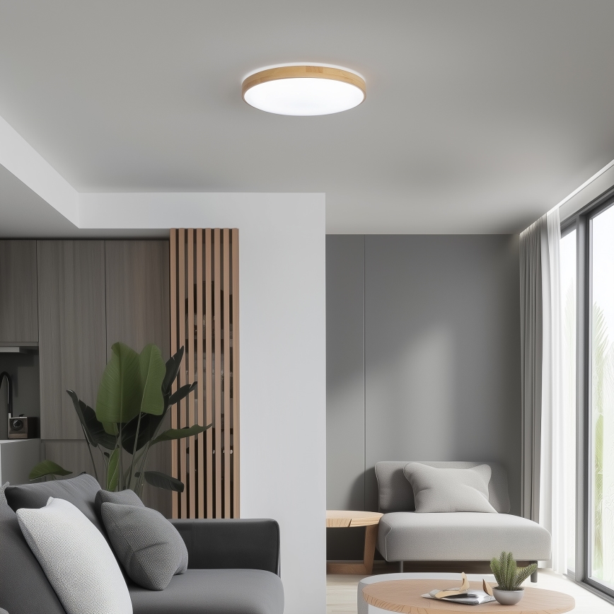 Brilagi - Стельовий LED світильник з регулюванням яскравості PINE LED/24W/230V 3000-6500K + дистанційне керування