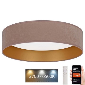 Brilagi - Стельовий LED світильник з регулюванням яскравості VELVET SMART LED/24W/230V ⌀ 45 см 2700-6500K Wi-Fi Tuya бежевий/золотий + дистанційне керування