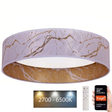 Brilagi - Стельовий LED світильник з регулюванням яскравості VELVET SMART LED/36W/230V ⌀ 55 см 2700-6500K Wi-Fi Tuya білий/золотий + дистанційне керування