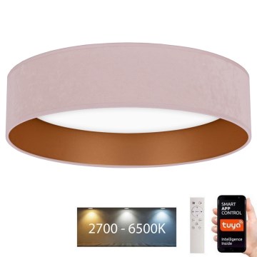 Brilagi - Стельовий LED світильник з регулюванням яскравості VELVET SMART LED/36W/230V ⌀ 55 см 2700-6500K Wi-Fi Tuya рожевий/золотий + дистанційне керування