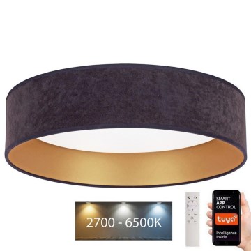 Brilagi - Стельовий LED світильник з регулюванням яскравості VELVET SMART LED/36W/230V ⌀ 55 см 2700-6500K Wi-Fi Tuya сірий/золотий + дистанційне керування