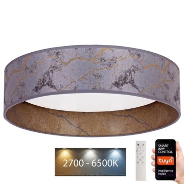 Brilagi - Стельовий LED світильник з регулюванням яскравості VELVET SMART LED/36W/230V ⌀ 55 см 2700-6500K Wi-Fi Tuya сірий/золотий + дистанційне керування