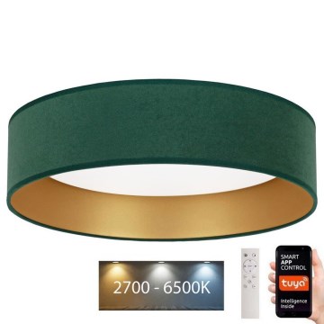 Brilagi - Стельовий LED світильник з регулюванням яскравості VELVET SMART LED/36W/230V ⌀ 55 см 2700-6500K Wi-Fi Tuya зелений/золотий + дистанційне керування