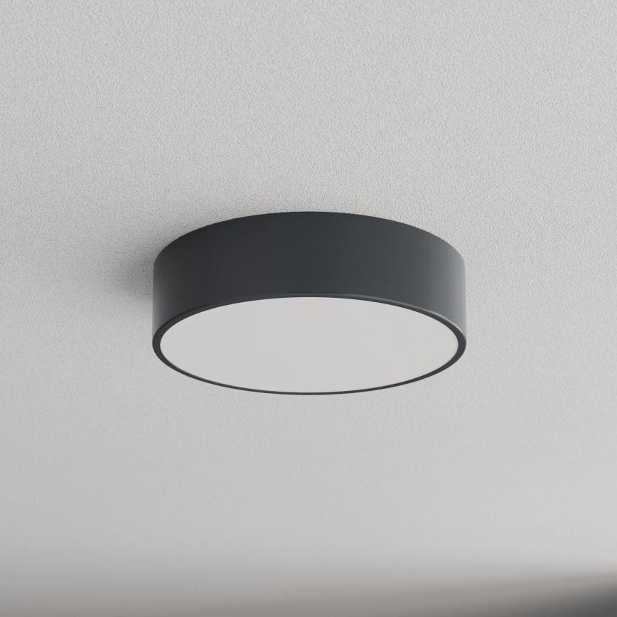 BRILAGI - Стельний світильник для ванної CLARE 2xE27/24W/230V, діаметр 30 см, антрацит, IP54