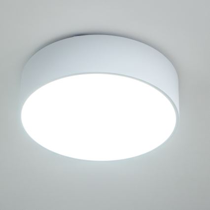Brilagi - Стельовий світильник для ванної POOL 3xE27/15W/230V діам. 40 см IP54 білий