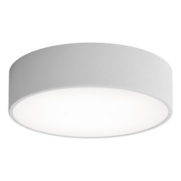 Brilagi - Стельовий світильник для ванної кімнати CLARE 2xE27/24W/230V діаметр 30 см IP54 сірий