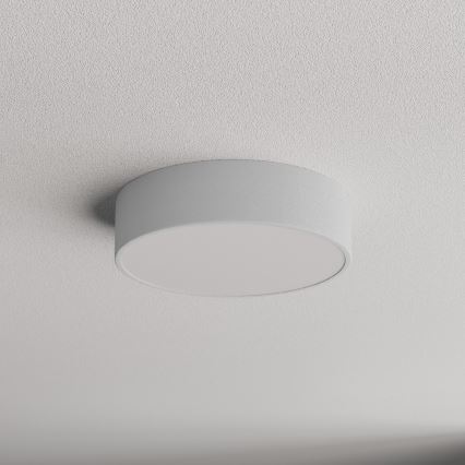 Brilagi - Стельовий світильник для ванної кімнати CLARE 2xE27/24W/230V діаметр 30 см IP54 сірий