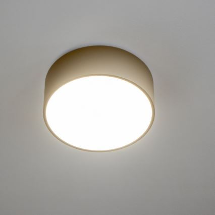 BRILAGI - Стельовий світильник для ванної кімнати POOL 2xE27/15W/230V діам. 30 см IP54 бежевий