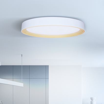 Brilagi - Регульований LED стельовий світильник LARIOS LED/72W/230V 3000-6500K білий діам. 59 см + пульт дистанційного керування