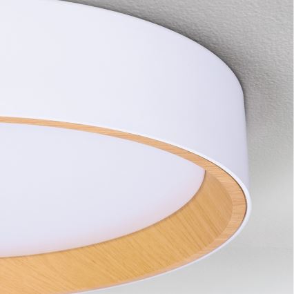 Brilagi - Регульований LED стельовий світильник LARIOS LED/72W/230V 3000-6500K білий діам. 59 см + пульт дистанційного керування