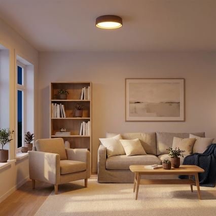 Brilagi - стельовий світильник LUCIA LED, 24 Вт/230 В, діаметр 31 см, коричневий