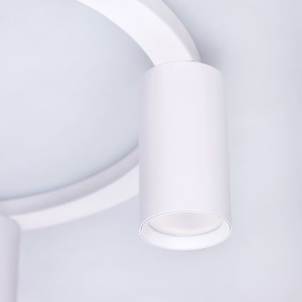 BRILAGI - стельовий світильник SELE 4xGU10/30W/230V білий