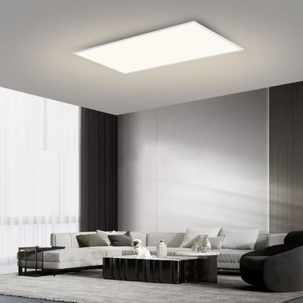 Brilagi - LED стельовий світильник SLIMFRAME LED/80W/230V 120x60 см 3000/4000/6000K білий