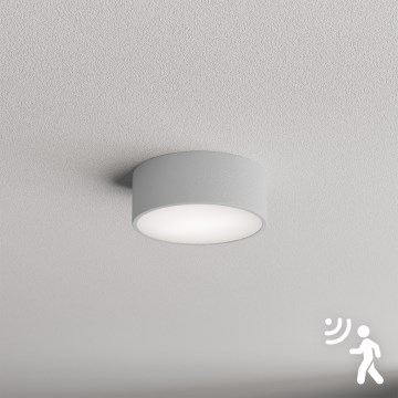 Brilagi - Стельовий світильник з датчиком CLARE 1xE27/24W/230V діаметр 20 см сірий