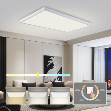 Брілагі - стельовий світлодіодний світильник для ванної ФРЕЙМ, 96 Вт/230 В, 120×60 см, 3000/4000/6000 К, ІР44, білий