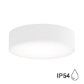 Brilagi - Стельовий світильник для ванної кімнати CLARE 2xE27/24W/230V діаметр 30 см білий IP54