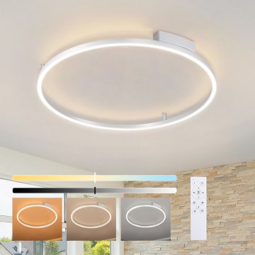 Brilagi - сучасний регульований LED стельовий світильник PORTOFINO LED/60W/230V зі змінною температурою світла 3000-6000K, діаметр 80 см, сріблястий + пульт дистанційного керування