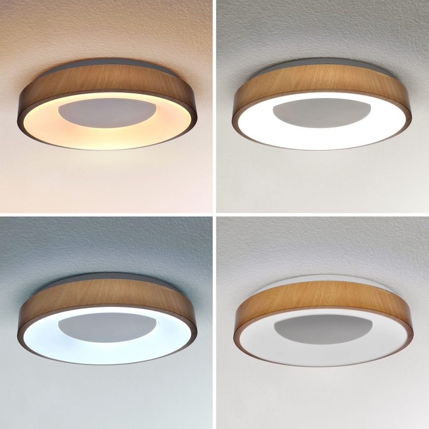 Brilagi - Светодиодный регулируемый потолочный светильник DORIA LED/48W/230V 3000-6500K диаметр 39 см + пульт дистанционного управления