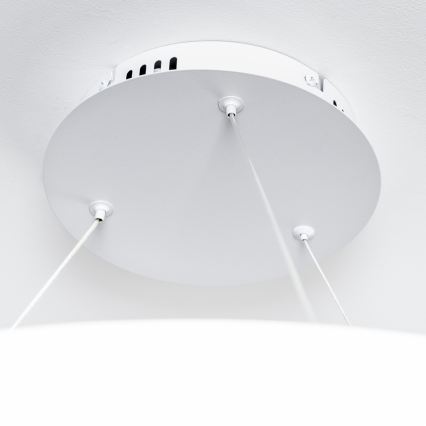 Brilagi - LED диммируемая люстра на тросе FALCON II LED/108Вт/230В 3000-6500К Ø 80 см белая + дистанционное управление