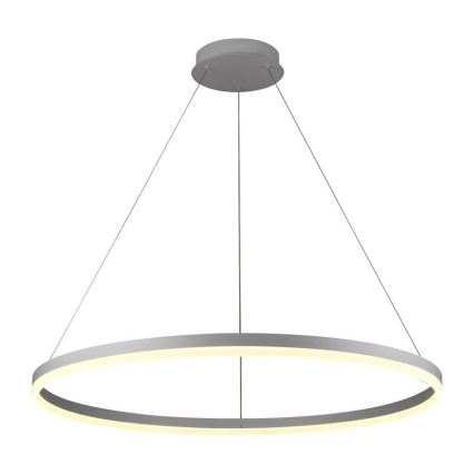 Brilagi - Диммируемая светодиодная люстра на тросе CIRCLE LED/55W/230V 3000-6500K + пульт дистанционного управления