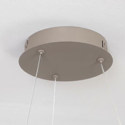 BRILAGI - Диммируемая LED-подвесная люстра на тросе FALCON II LED/67W/230V 3000-6500K Ø 40 см бежевая + пульт дистанционного управления