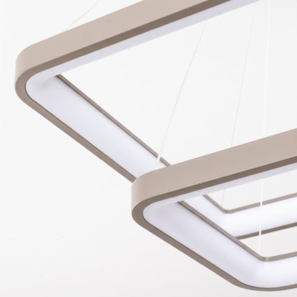 BRILAGI - Диммируемая светодиодная люстра на тросе FALCON SLIM LED/78W/230V 3000-6500K 50x50 cm бежевого цвета + пульт дистанционного управления