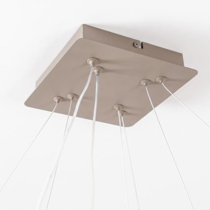 BRILAGI - Диммируемая светодиодная люстра на тросе FALCON SLIM LED/78W/230V 3000-6500K 50x50 cm бежевого цвета + пульт дистанционного управления