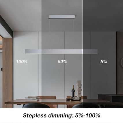 Brilagi - Светодиодная подвесная люстра с регулированием яркости SLEEKLINE SMART LED/40W/230V 3000-6000K Wi-Fi Tuya серебристый + дистанционное управление