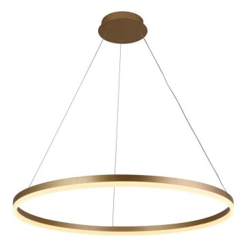 Brilagi - Светодиодная подвесная люстра с регулированием яркости CIRCLE LED/55W/230V 3000-6500K золотистый + дистанционное управление