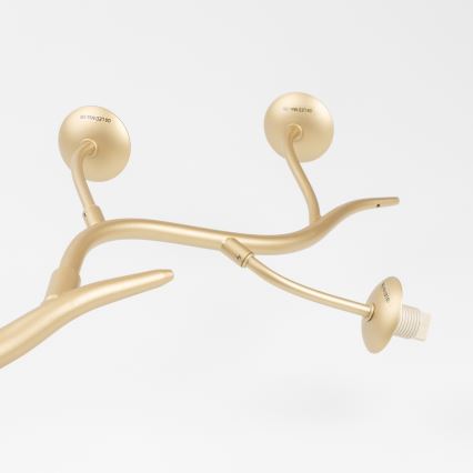 Brilagi - Светодиодная припотолочная люстра MISTEL 6xG9/3W/230V золотистый/белый