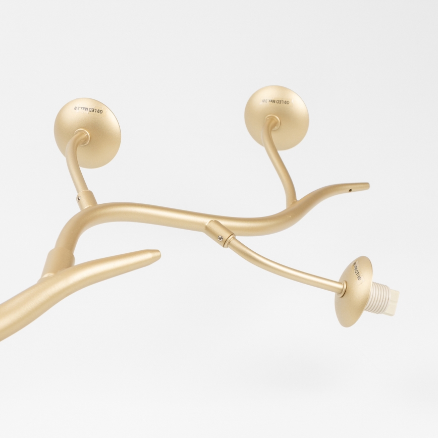 Brilagi - Светодиодная припотолочная люстра MISTEL 6xG9/3W/230V золотистый