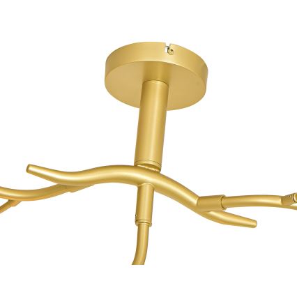 Brilagi - Светодиодная припотолочная люстра MISTEL 9xG9/3W/230V золотистый