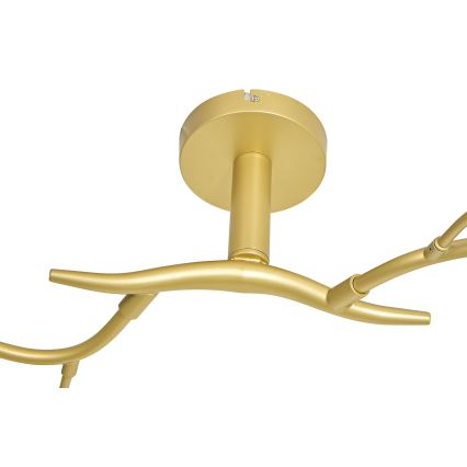 Brilagi - Светодиодная припотолочная люстра MISTEL 6xG9/3W/230V золотистый