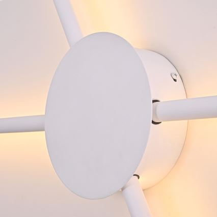 Brilagi - Светодиодный настенный светильник LUGO QUATTRO LED/16W/230V белый
