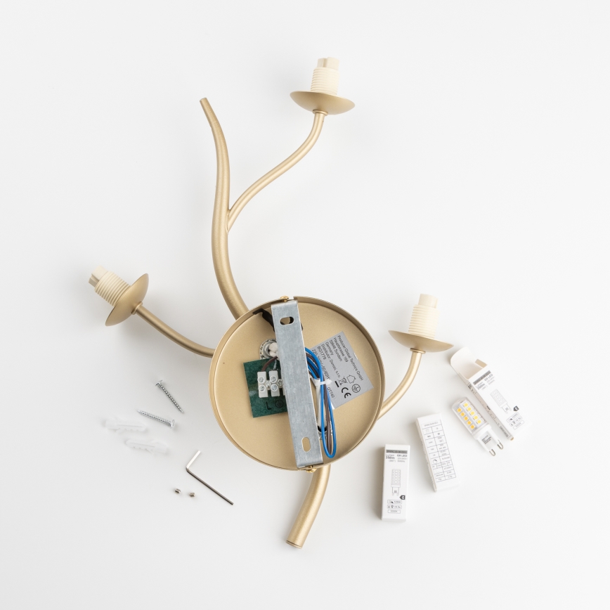 Brilagi - Светодиодный настенный светильник MISTEL 3xG9/3W/230V золотистый/белый