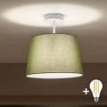 Brilagi - светодиодный накладной потолочный светильник CERIA 1xE27/60W/230V, диаметр 30 см, белый/зеленый