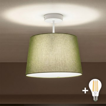 Brilagi - светодиодный накладной потолочный светильник CERIA 1xE27/60W/230V, диаметр 30 см, белый/зеленый