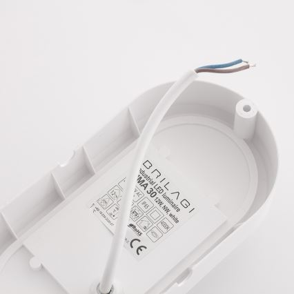Brilagi - Светодиодный потолочный промышленный светильник SIMA LED/12W/230V IP65 белый