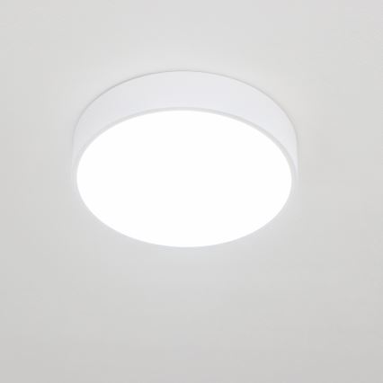 BRILAGI - светодиодный потолочный светильник для ванной POOL LED/24W/230V 3000/4000/5500K диам. 30 cm IP54 белый