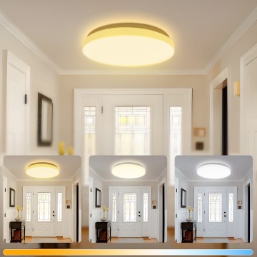 Brilagi - светодиодный потолочный светильник MILKY WAY LED/24W/230V 3000/4000/6500K Ø 38 см